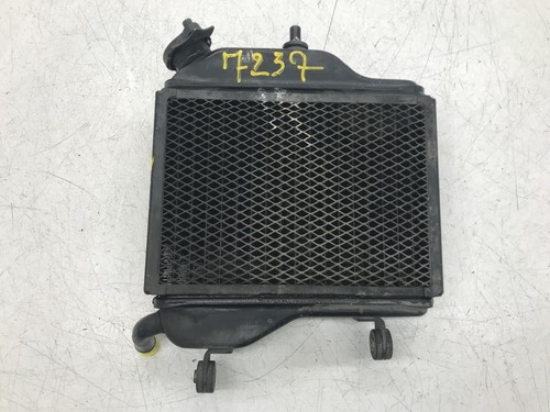 Radiateur eau yamaha tzr - radiateur,
